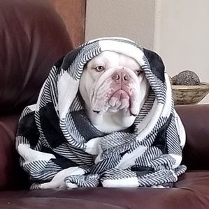 Meet your Posher, Barbara